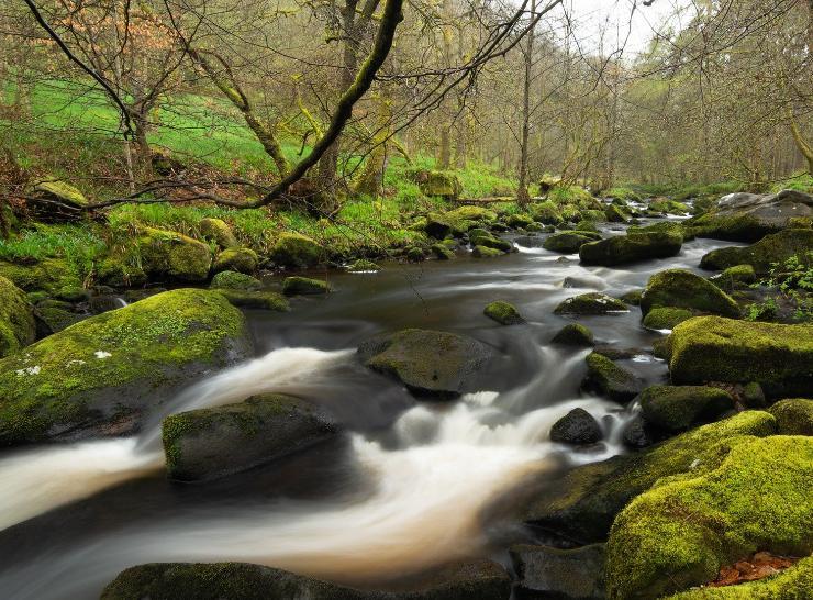 River Wharfe. Time Hill at Pixabay